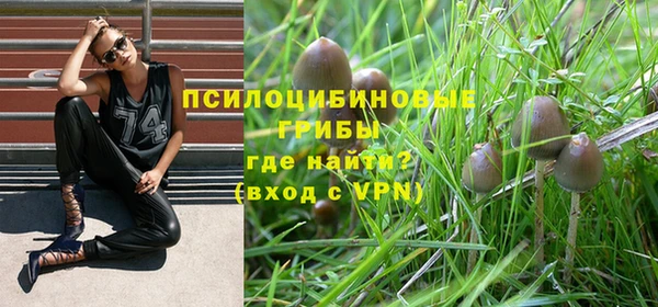 Альфа ПВП Арсеньев