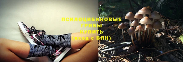 spice Аркадак