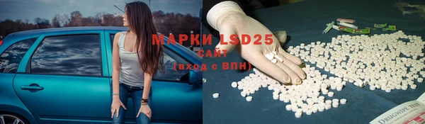 spice Аркадак