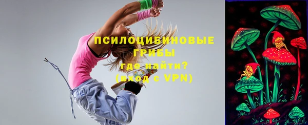 Альфа ПВП Арсеньев