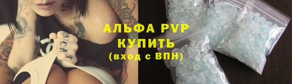 spice Аркадак