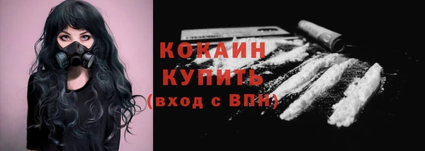spice Аркадак